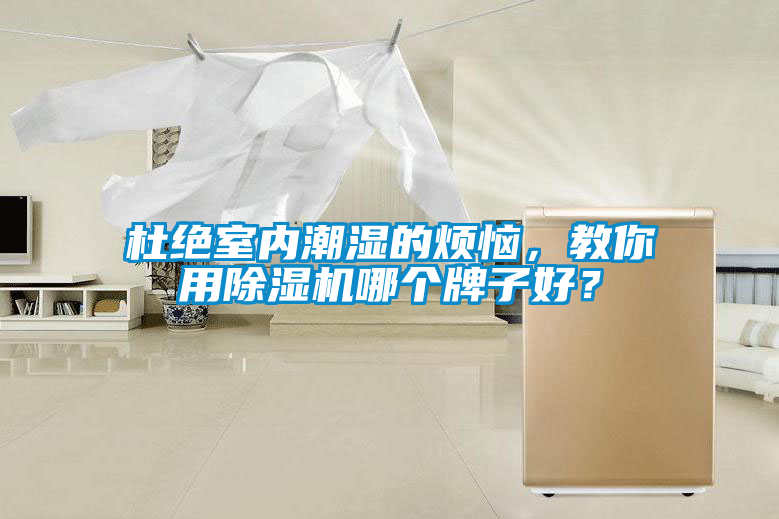 杜絕室內(nèi)潮濕的煩惱，教你用除濕機(jī)哪個牌子好？