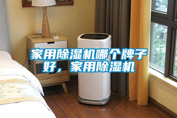 家用除濕機(jī)哪個牌子好，家用除濕機(jī)