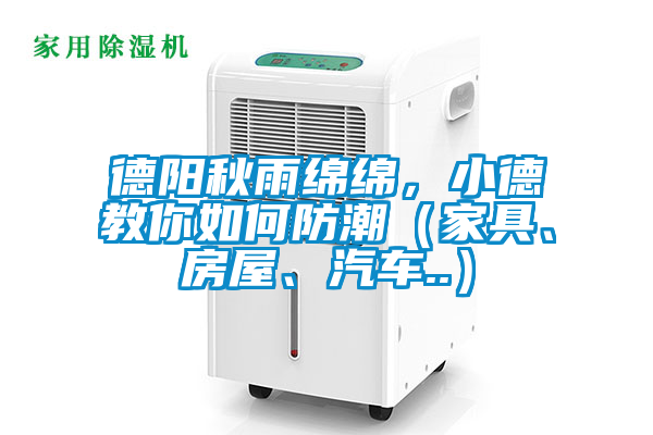 德陽秋雨綿綿，小德教你如何防潮（家具、房屋、汽車..）