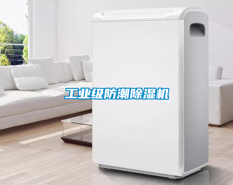 工業(yè)級防潮除濕機(jī)