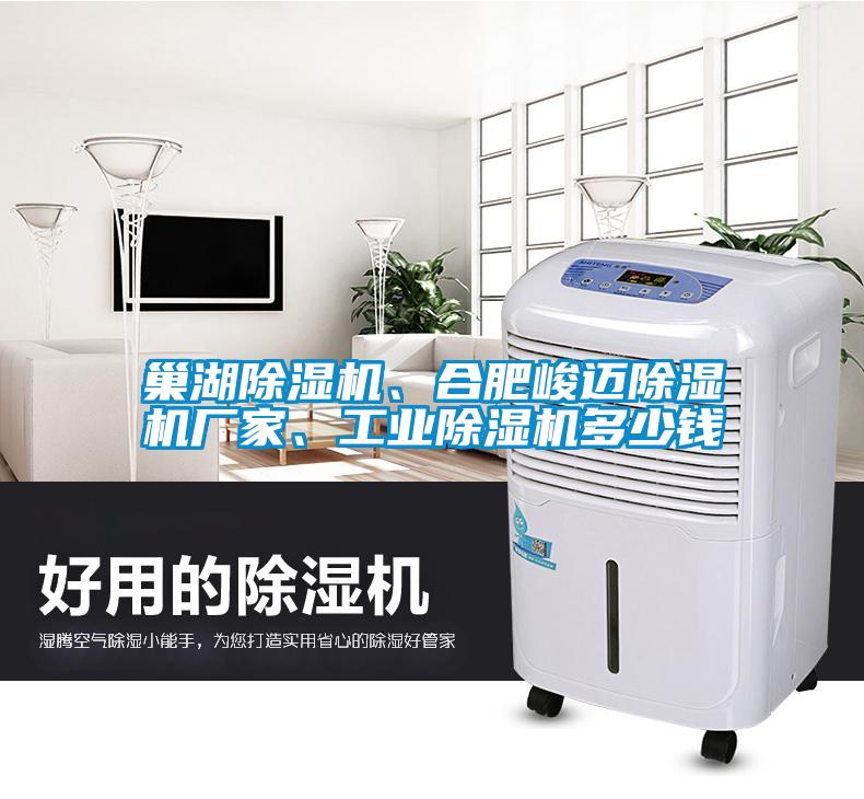 巢湖除濕機(jī)、合肥峻邁除濕機(jī)廠家、工業(yè)除濕機(jī)多少錢