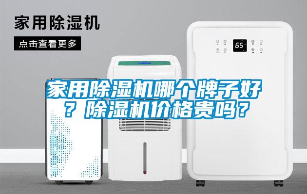家用除濕機(jī)哪個牌子好？除濕機(jī)價格貴嗎？