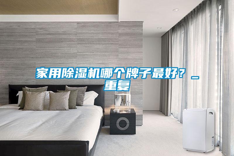 家用除濕機(jī)哪個牌子最好？_重復(fù)