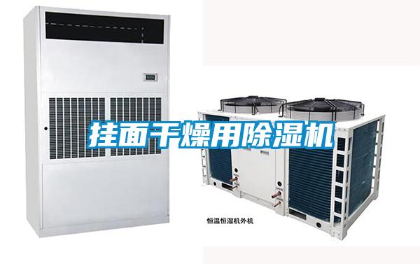 掛面干燥用除濕機(jī)