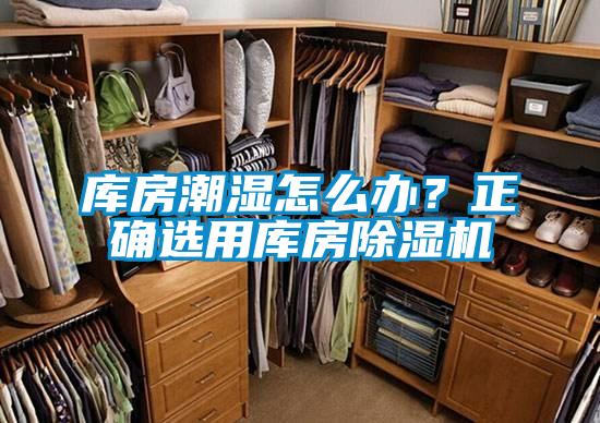 庫(kù)房潮濕怎么辦？正確選用庫(kù)房除濕機(jī)