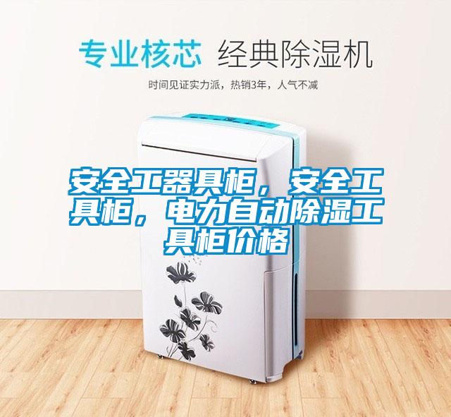 安全工器具柜，安全工具柜，電力自動(dòng)除濕工具柜價(jià)格