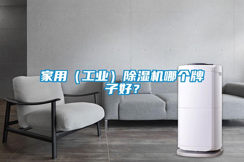 家用（工業(yè)）除濕機(jī)哪個(gè)牌子好？