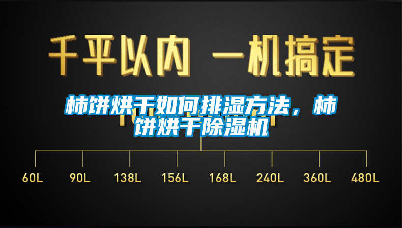 柿餅烘干如何排濕方法，柿餅烘干除濕機(jī)