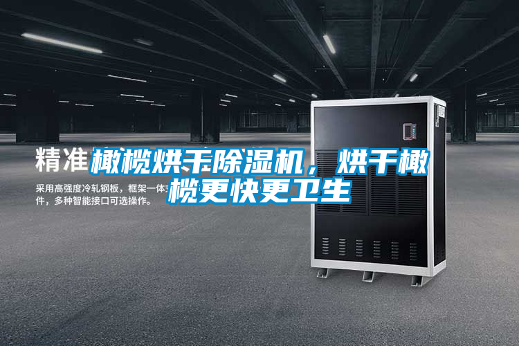 橄欖烘干除濕機(jī)，烘干橄欖更快更衛(wèi)生