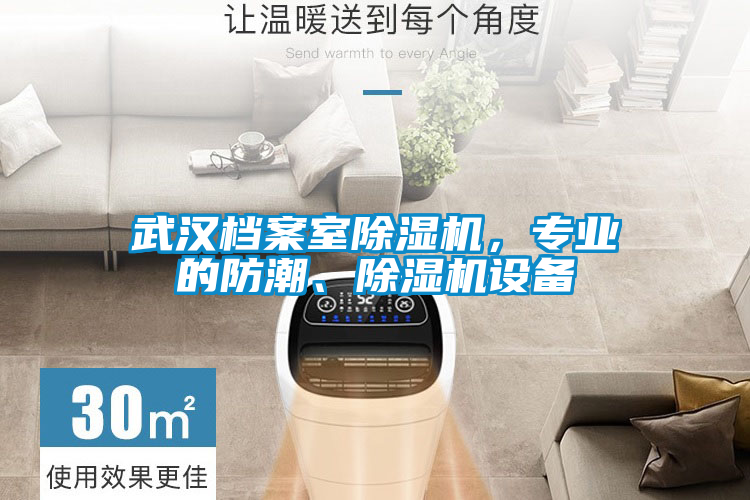 武漢檔案室除濕機，專業(yè)的防潮、除濕機設(shè)備