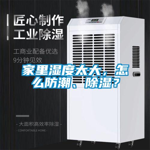 家里濕度太大，怎么防潮、除濕？