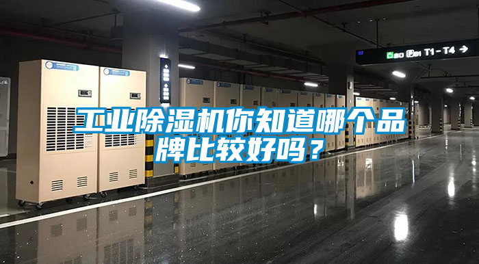 工業(yè)除濕機你知道哪個品牌比較好嗎？
