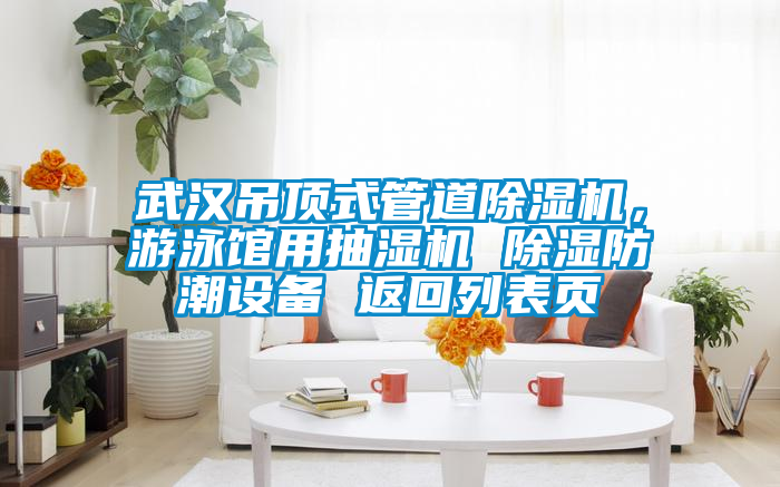 武漢吊頂式管道除濕機，游泳館用抽濕機 除濕防潮設(shè)備 返回列表頁