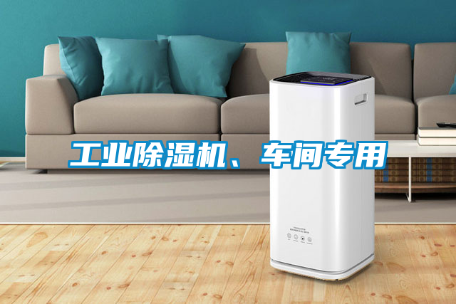 工業(yè)除濕機(jī)、車間專用