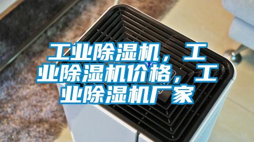 工業(yè)除濕機(jī)，工業(yè)除濕機(jī)價格，工業(yè)除濕機(jī)廠家