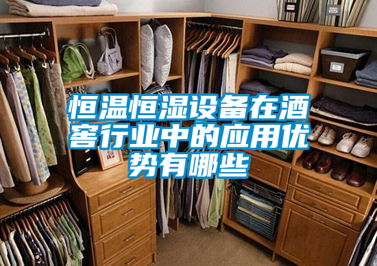 恒溫恒濕設備在酒窖行業(yè)中的應用優(yōu)勢有哪些