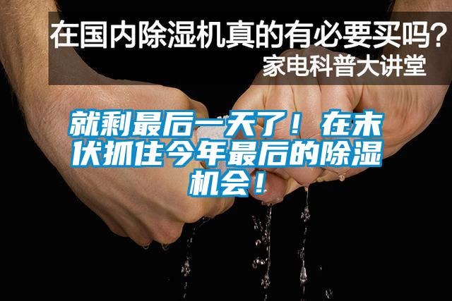 就剩最后一天了！在末伏抓住今年最后的除濕機(jī)會！
