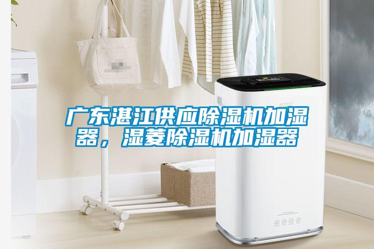 廣東湛江供應(yīng)除濕機(jī)加濕器，濕菱除濕機(jī)加濕器