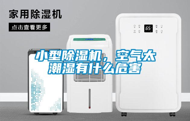 小型除濕機，空氣太潮濕有什么危害