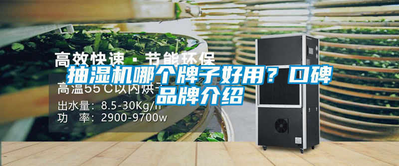 抽濕機(jī)哪個牌子好用？口碑品牌介紹