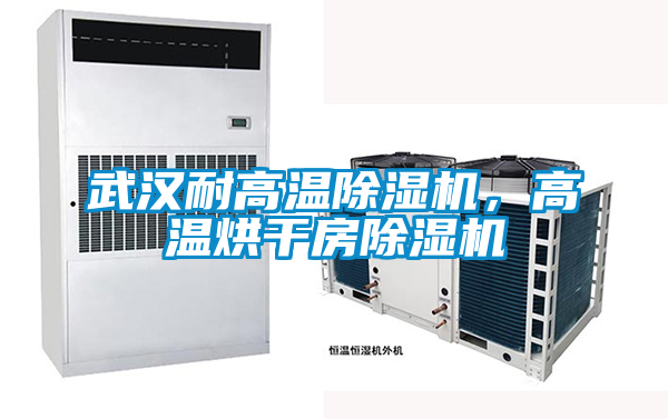 武漢耐高溫除濕機(jī)，高溫烘干房除濕機(jī)