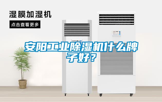 安陽(yáng)工業(yè)除濕機(jī)什么牌子好？