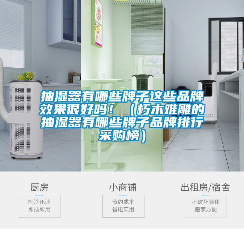 抽濕器有哪些牌子這些品牌效果很好嗎?。ㄐ嗄倦y雕的抽濕器有哪些牌子品牌排行采購榜）