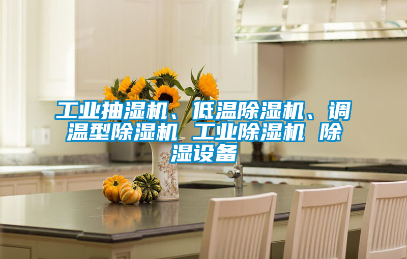 工業(yè)抽濕機、低溫除濕機、調溫型除濕機 工業(yè)除濕機 除濕設備