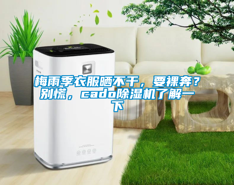 梅雨季衣服曬不干，要裸奔？別慌，cado除濕機(jī)了解一下