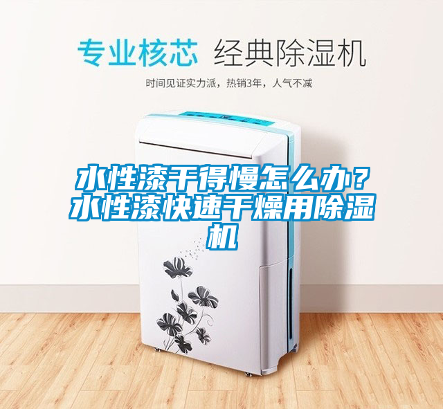 水性漆干得慢怎么辦？水性漆快速干燥用除濕機