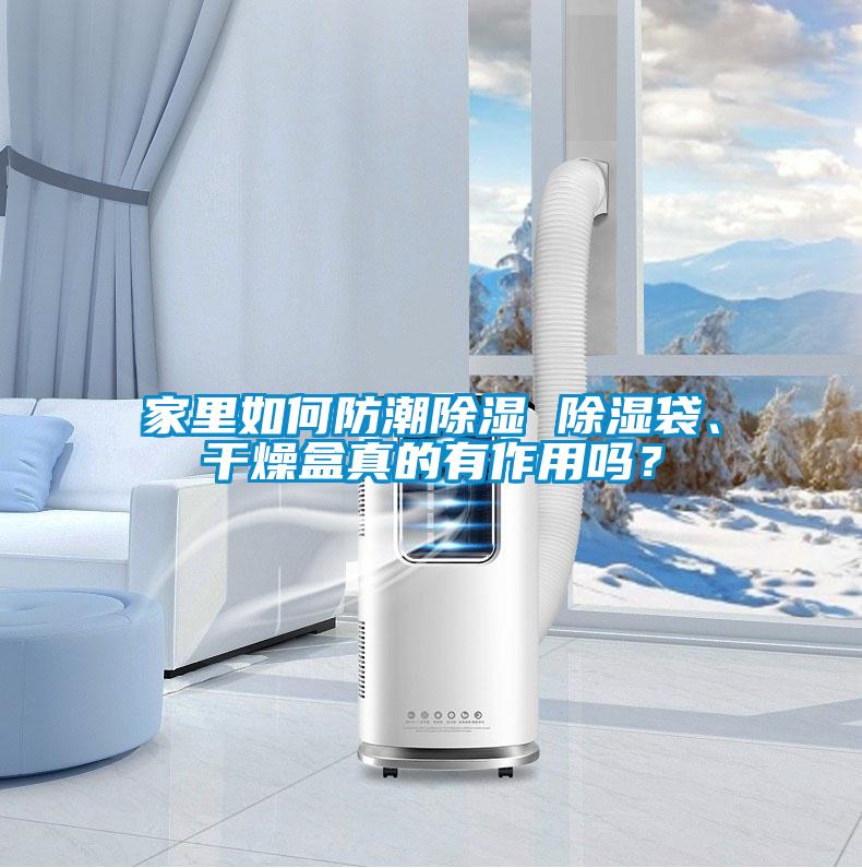 家里如何防潮除濕 除濕袋、干燥盒真的有作用嗎？