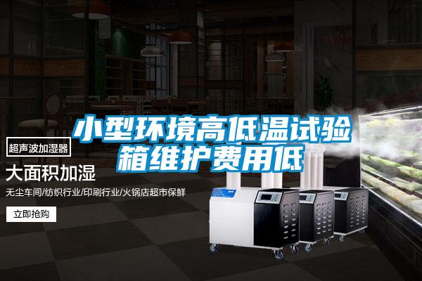 小型環(huán)境高低溫試驗箱維護(hù)費(fèi)用低