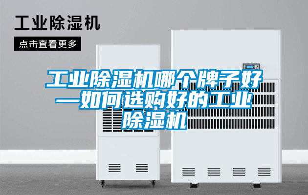 工業(yè)除濕機(jī)哪個(gè)牌子好—如何選購(gòu)好的工業(yè)除濕機(jī)