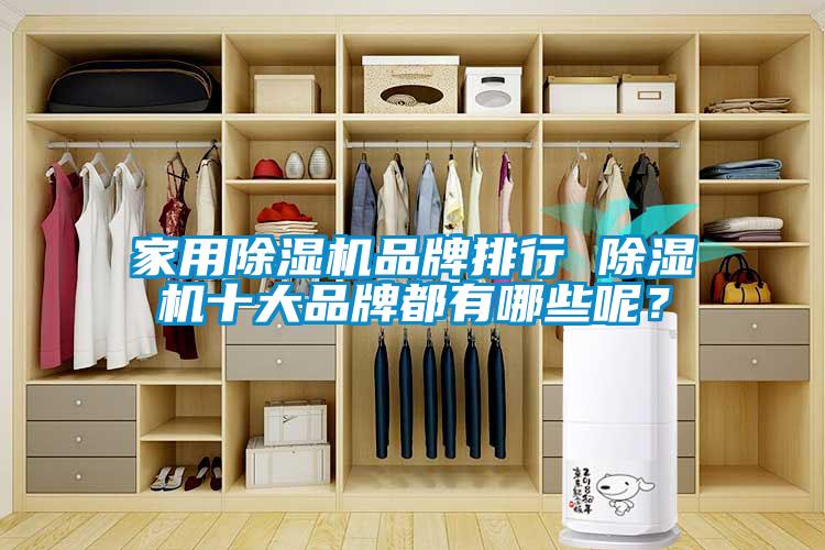 家用除濕機(jī)品牌排行 除濕機(jī)十大品牌都有哪些呢？