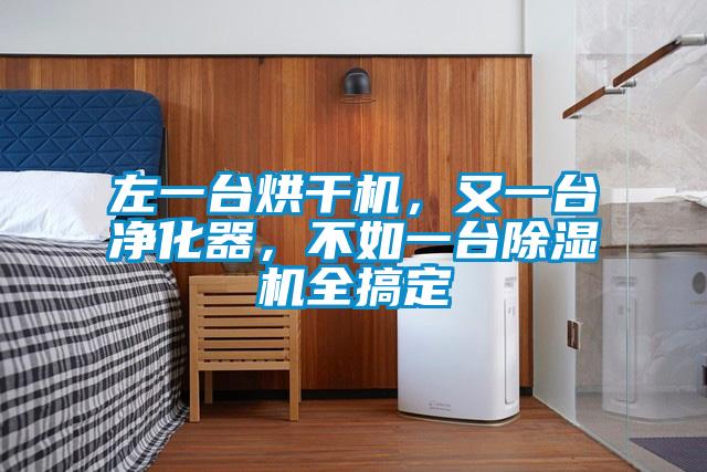 左一臺烘干機，又一臺凈化器，不如一臺除濕機全搞定
