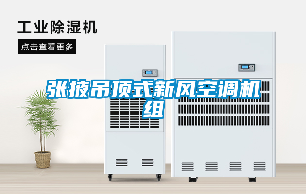 張掖吊頂式新風空調(diào)機組