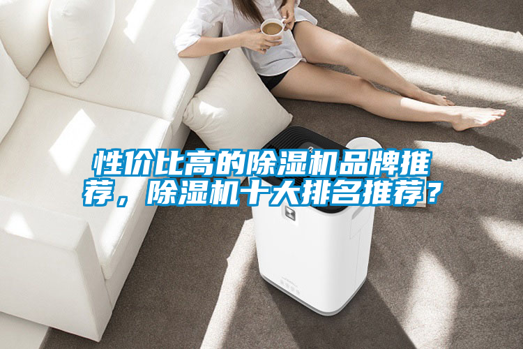 性?xún)r(jià)比高的除濕機(jī)品牌推薦，除濕機(jī)十大排名推薦？