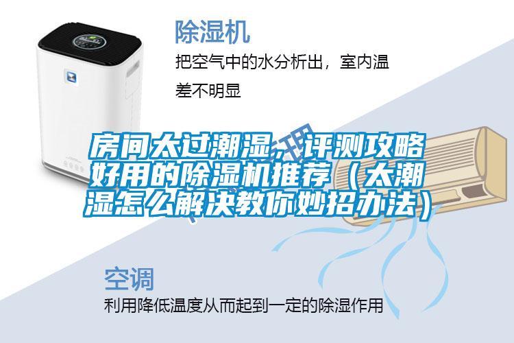 房間太過潮濕，評測攻略好用的除濕機(jī)推薦（太潮濕怎么解決教你妙招辦法）