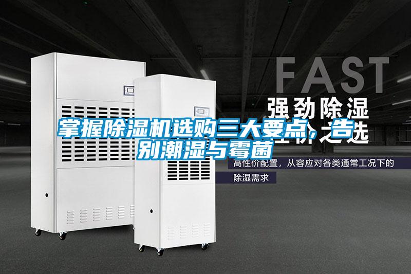 掌握除濕機選購三大要點，告別潮濕與霉菌