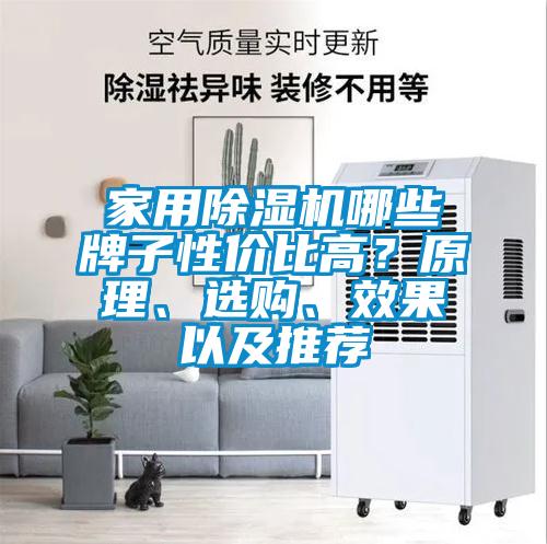 家用除濕機(jī)哪些牌子性價(jià)比高？原理、選購、效果以及推薦