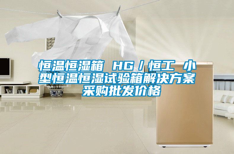 恒溫恒濕箱 HG／恒工 小型恒溫恒濕試驗(yàn)箱解決方案 采購(gòu)批發(fā)價(jià)格