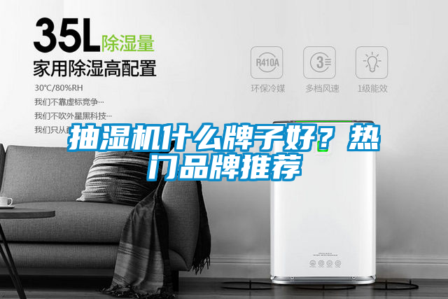 抽濕機(jī)什么牌子好？熱門品牌推薦