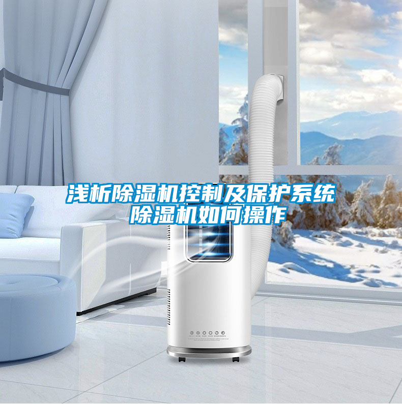 淺析除濕機控制及保護系統(tǒng) 除濕機如何操作