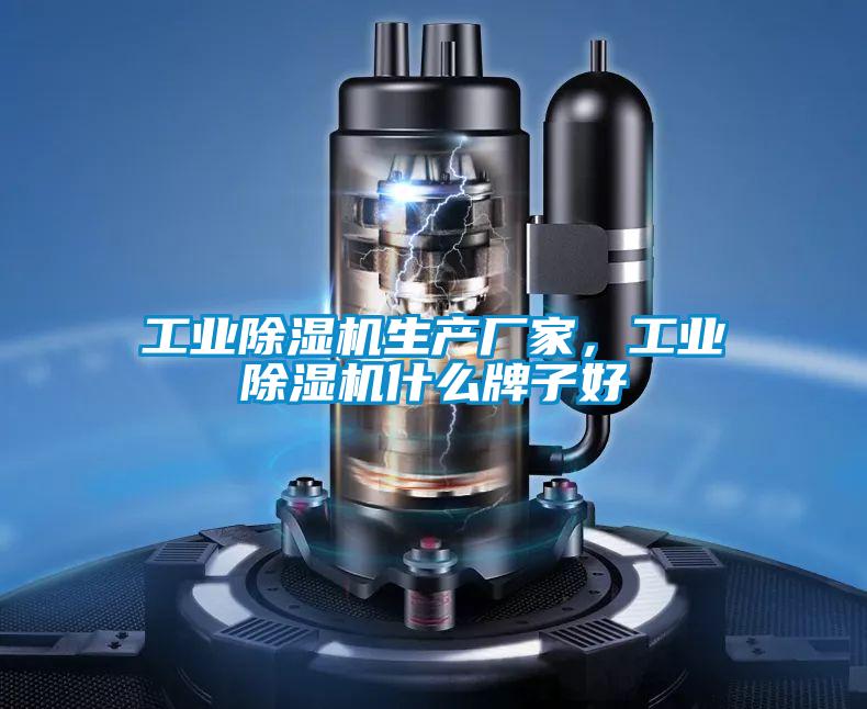 工業(yè)除濕機(jī)生產(chǎn)廠家，工業(yè)除濕機(jī)什么牌子好