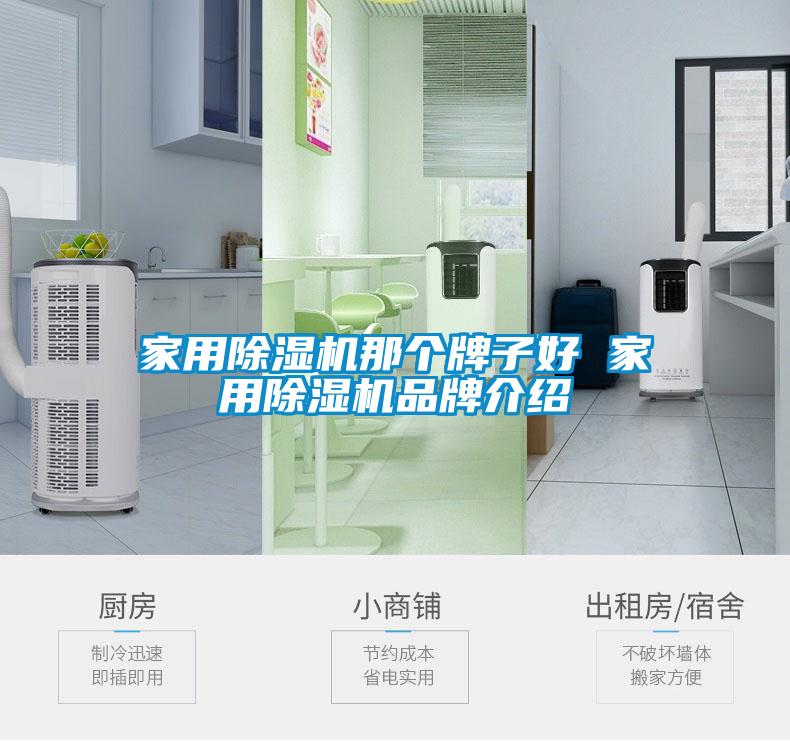 家用除濕機(jī)那個牌子好 家用除濕機(jī)品牌介紹