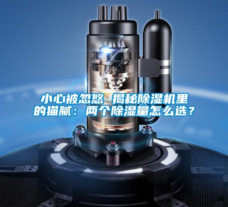 小心被忽悠 揭秘除濕機里的貓膩：兩個除濕量怎么選？