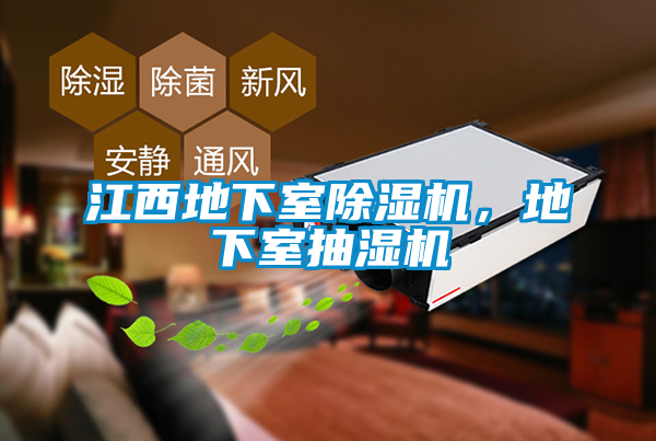 江西地下室除濕機，地下室抽濕機