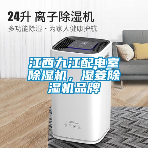 江西九江配電室除濕機，濕菱除濕機品牌