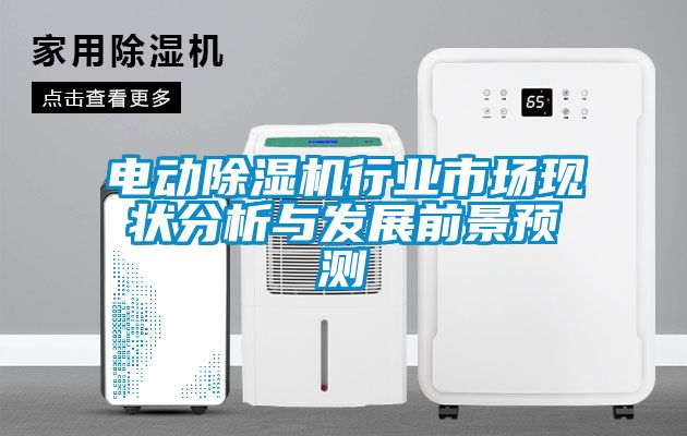 電動除濕機行業(yè)市場現狀分析與發(fā)展前景預測