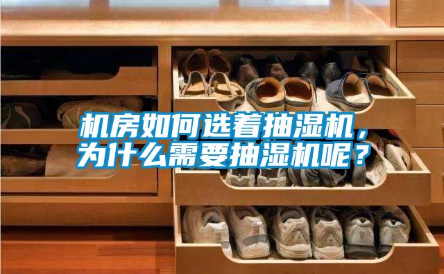 機房如何選著抽濕機，為什么需要抽濕機呢？